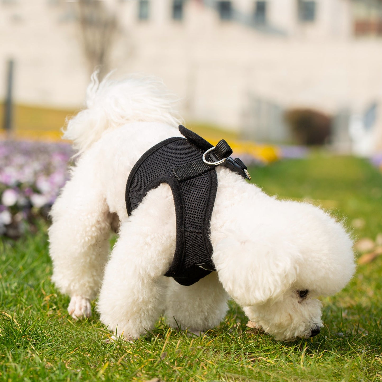Mr. Peanut's PupTrek Harness and Leash Set, Small Dog/Cat Soft Mesh Step In Harness Vest