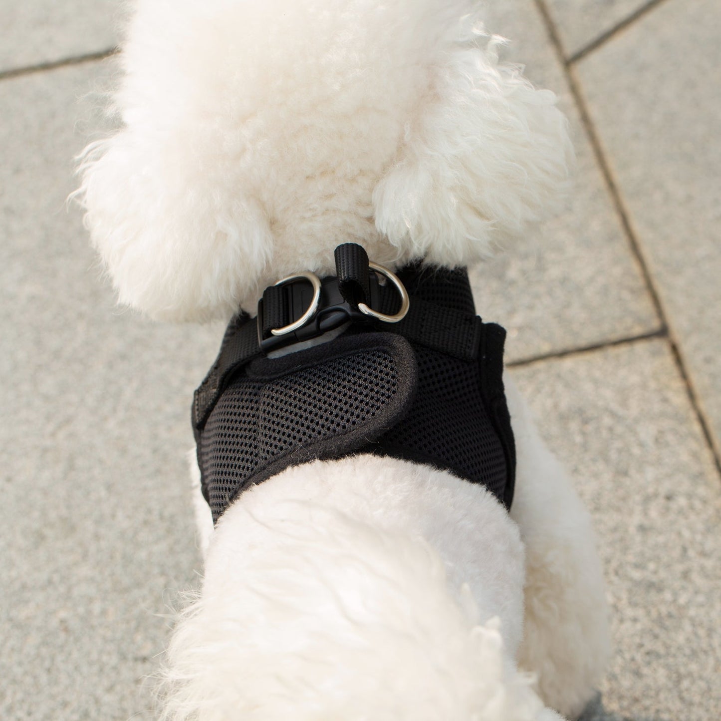 Mr. Peanut's PupTrek Harness and Leash Set, Small Dog/Cat Soft Mesh Step In Harness Vest