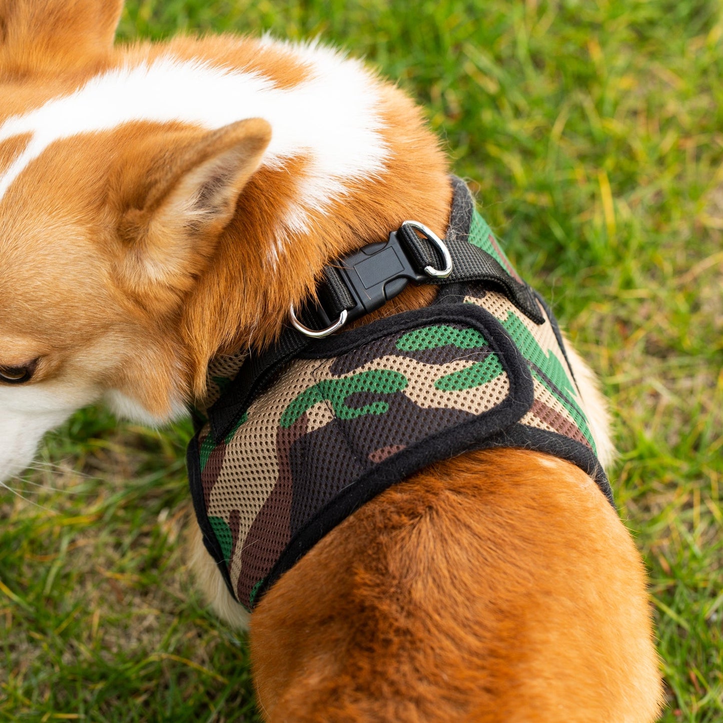 Mr. Peanut's PupTrek Harness and Leash Set, Small Dog/Cat Soft Mesh Step In Harness Vest