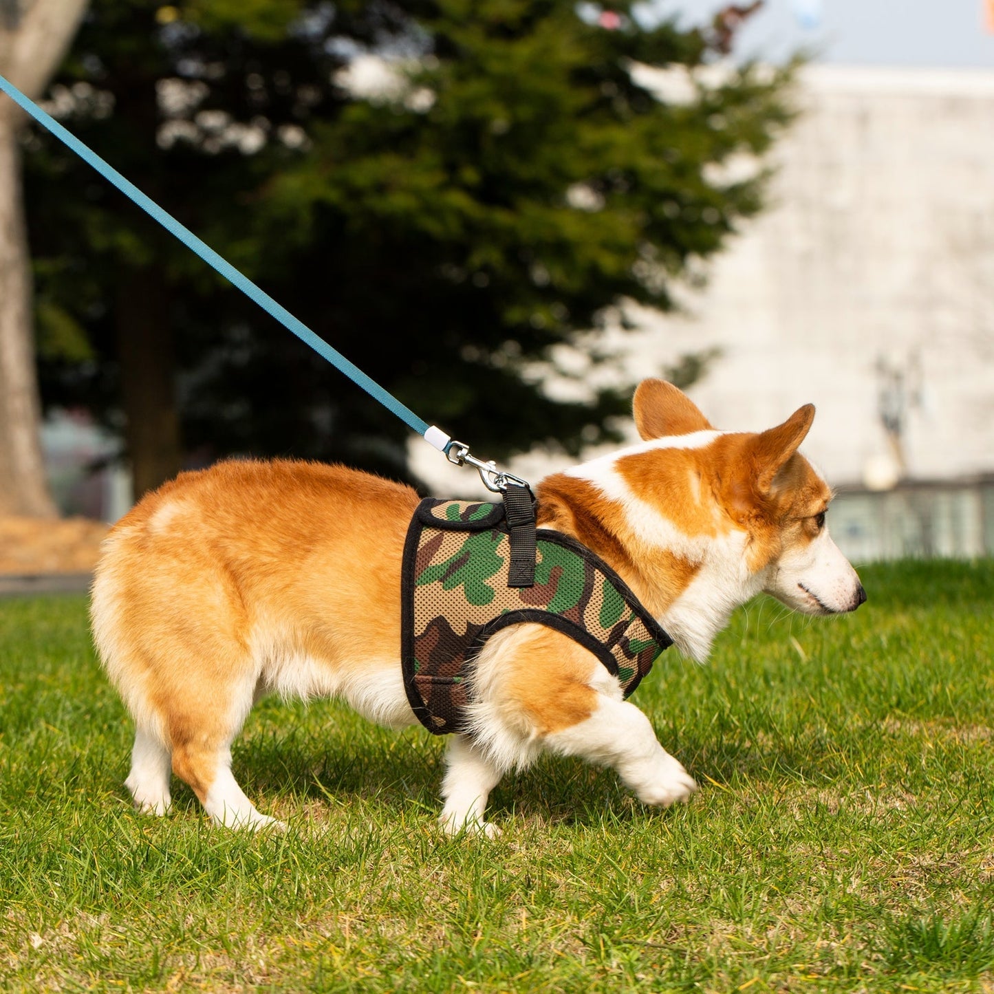 Mr. Peanut's PupTrek Harness and Leash Set, Small Dog/Cat Soft Mesh Step In Harness Vest