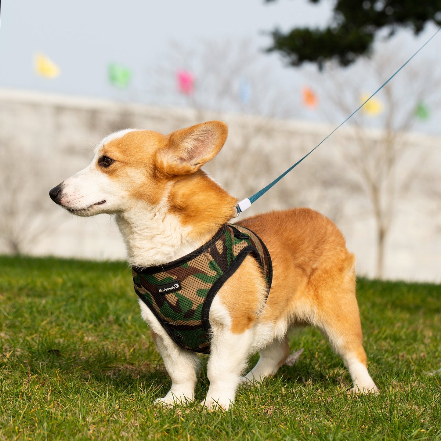 Mr. Peanut's PupTrek Harness and Leash Set, Small Dog/Cat Soft Mesh Step In Harness Vest
