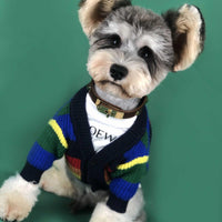 Rainbow Striped Dog Cardigan: A Burst Of Color For Your Pup