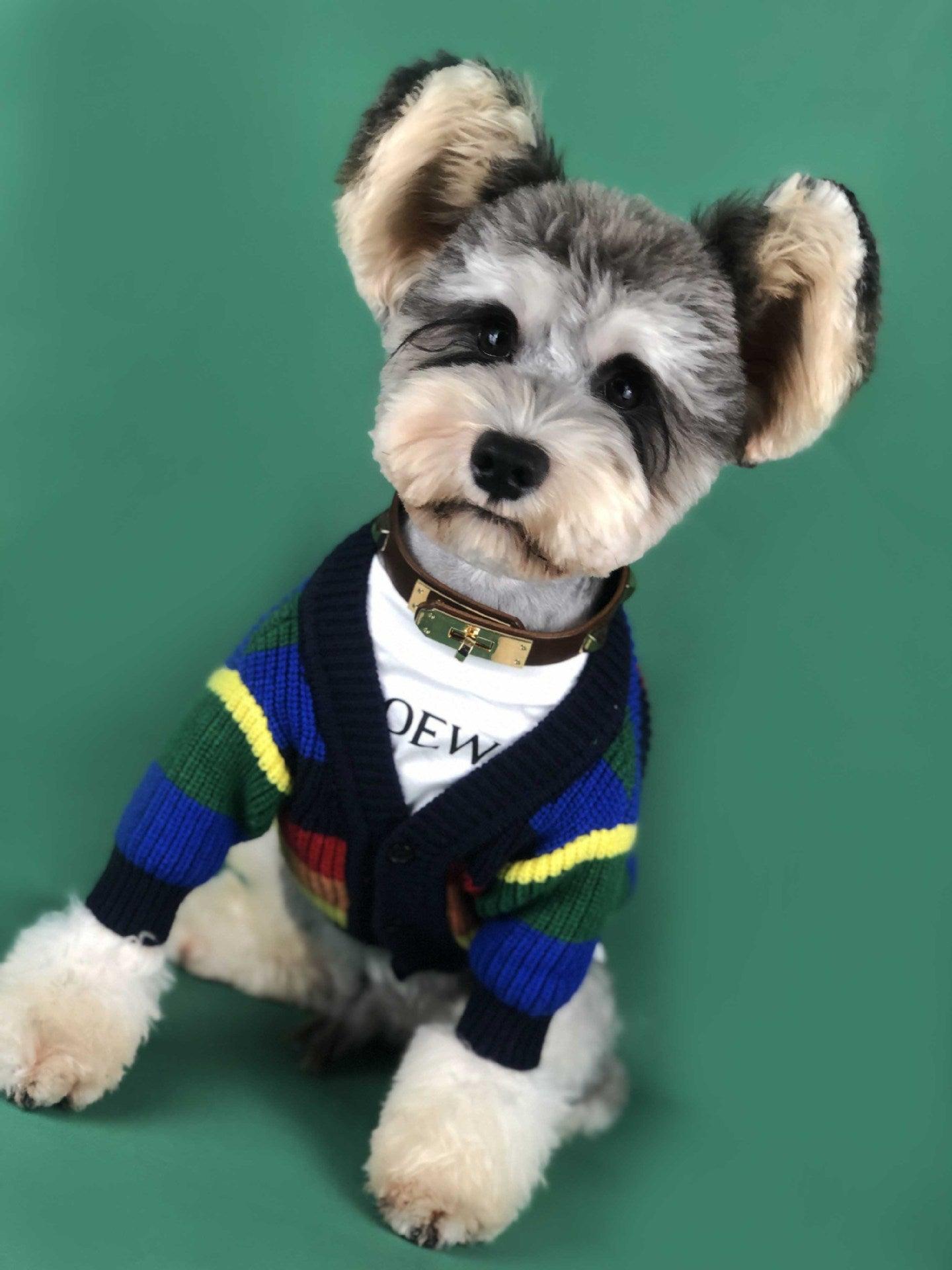 Rainbow Striped Dog Cardigan: A Burst Of Color For Your Pup