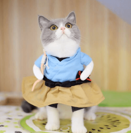 Feline Funhouse Costume Set: Dress Up Your Cat In Style!