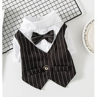Petite Pup Couture: Stylish Suit For Small Dogs
