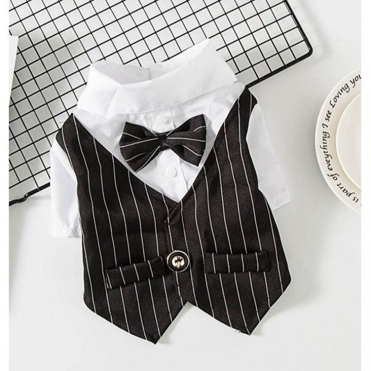Petite Pup Couture: Stylish Suit For Small Dogs