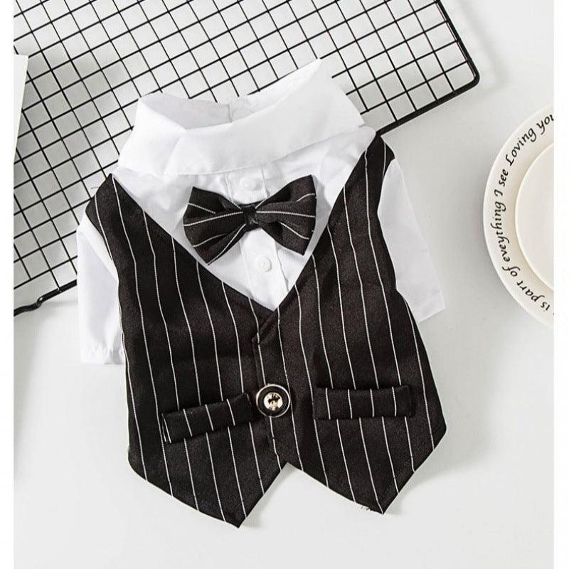 Petite Pup Couture: Stylish Suit For Small Dogs