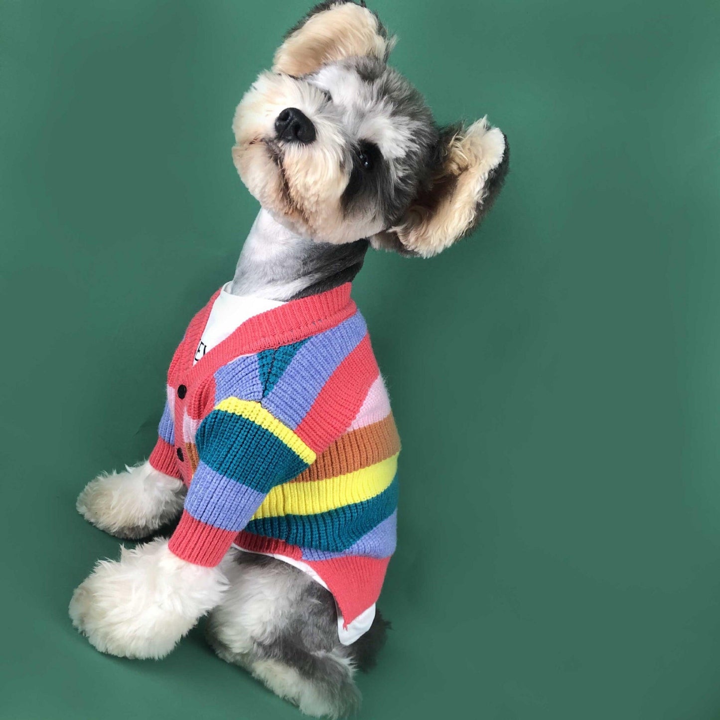 Rainbow Striped Dog Cardigan: A Burst Of Color For Your Pup
