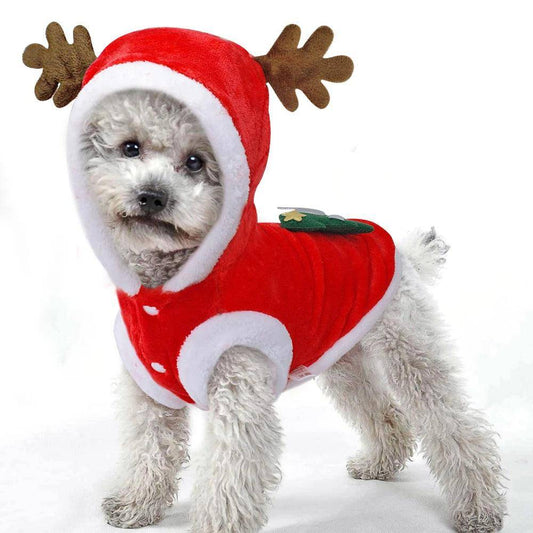 Festive Santa Claus Dog Costume For Small Dogs - Perfect For Christmas Celebrations!