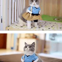 Feline Funhouse Costume Set: Dress Up Your Cat In Style!