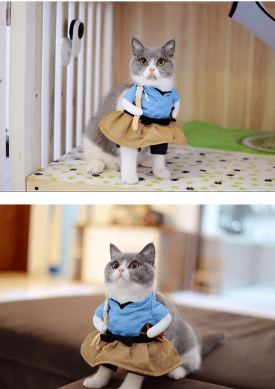 Feline Funhouse Costume Set: Dress Up Your Cat In Style!