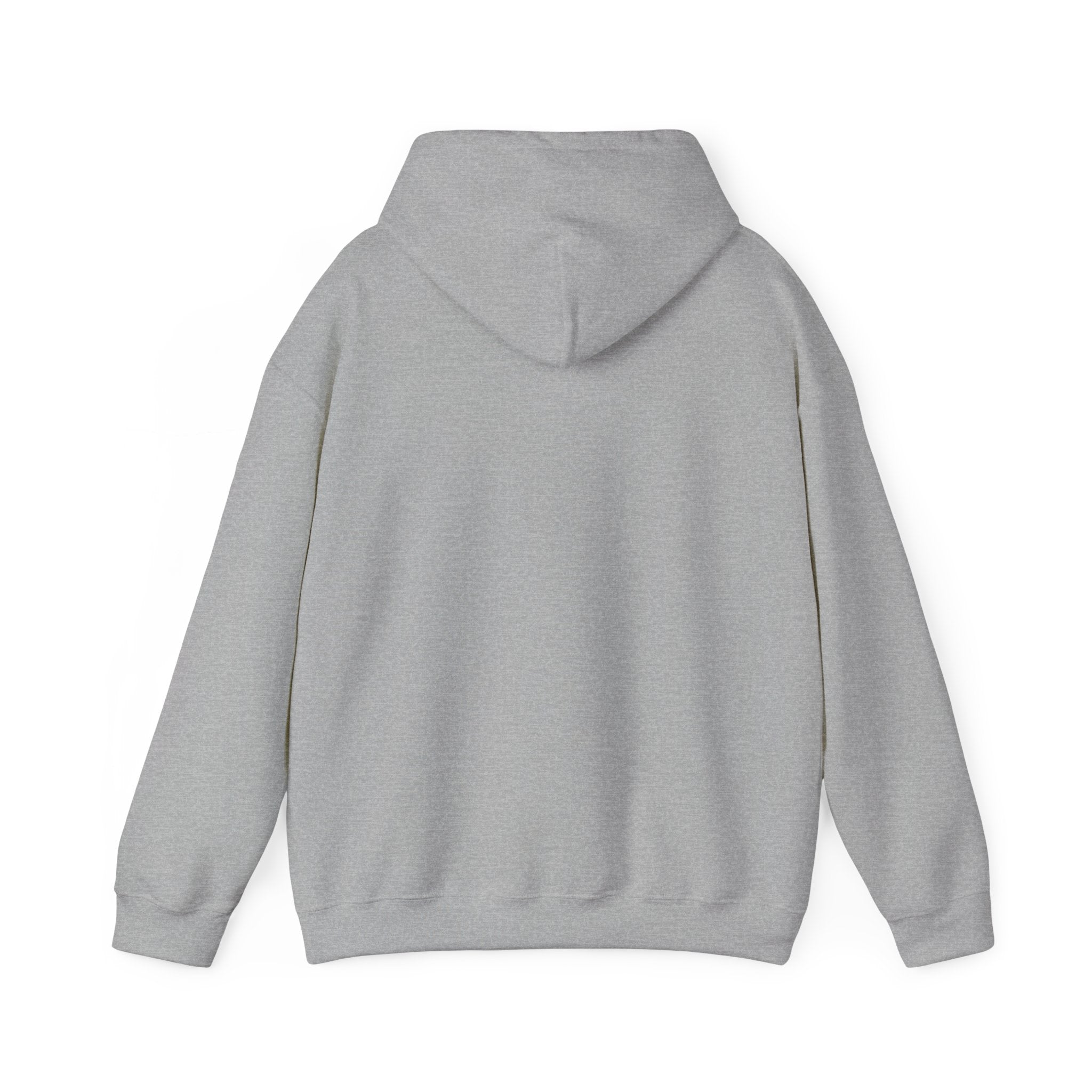 Blue Mountain Waterfall Hoodie