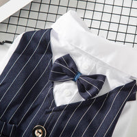 Petite Pup Couture: Stylish Suit For Small Dogs