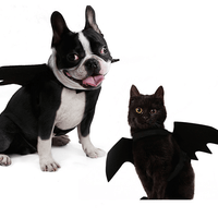 Shadow Wings Dog Costume