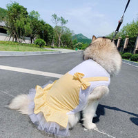 Regal Canine Couture: Plaid Princess Dog Costume For Labrador, Golden Retriever, And Big Dogs