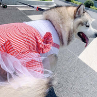 Regal Canine Couture: Plaid Princess Dog Costume For Labrador, Golden Retriever, And Big Dogs