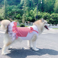 Regal Canine Couture: Plaid Princess Dog Costume For Labrador, Golden Retriever, And Big Dogs