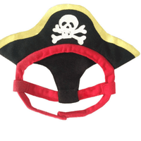 Pirate Paw-Fect Pet Costume: Transform Your Furry Friend Into A Teddy Pirate!