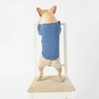 Whimsical Canine Couture: Stylish Casual Pet Clothes For Fashionable Pups