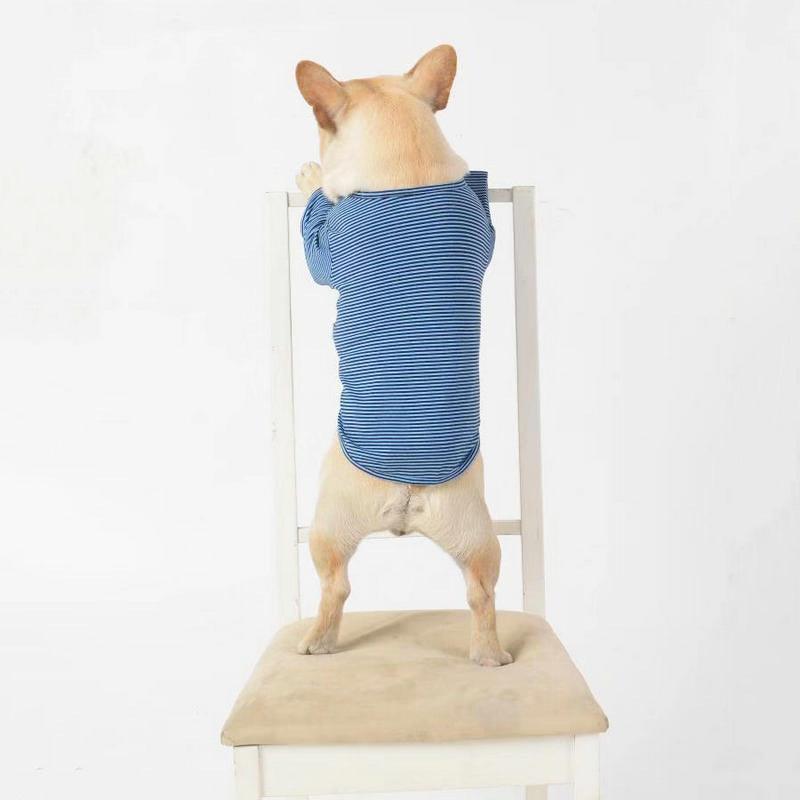 Whimsical Canine Couture: Stylish Casual Pet Clothes For Fashionable Pups