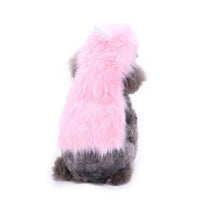 Spooky Festive Dog Costume