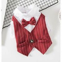 Petite Pup Couture: Stylish Suit For Small Dogs