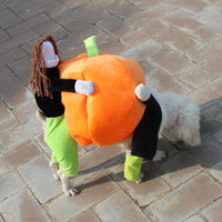 Spooky Pumpkin Pooch Costume