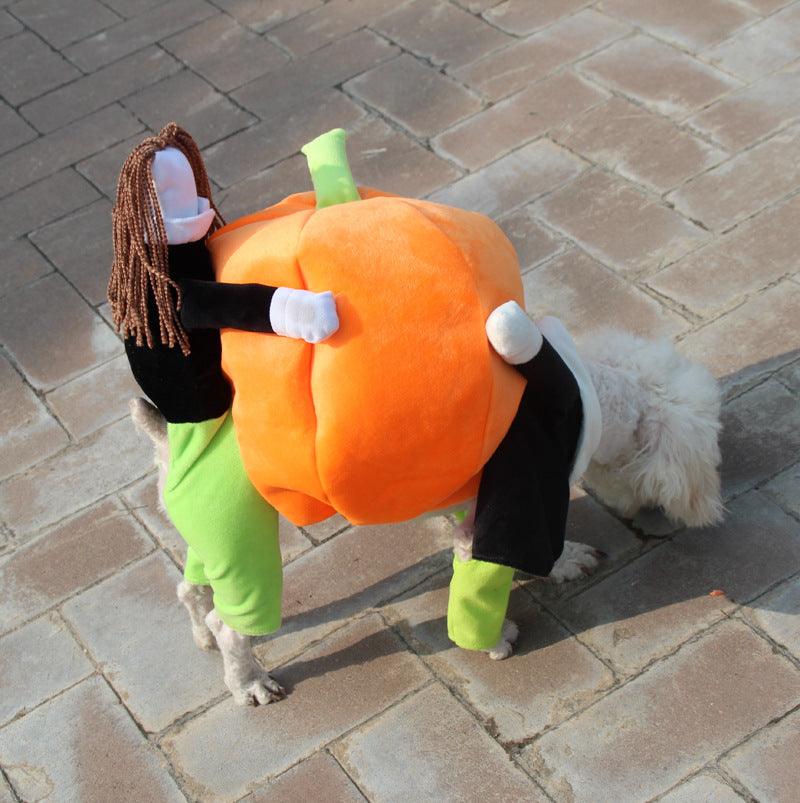 Spooky Pumpkin Pooch Costume