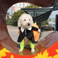Spooky Pumpkin Pooch Costume