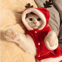 Festive Santa Claus Dog Costume For Small Dogs - Perfect For Christmas Celebrations!