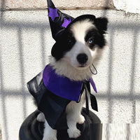 Enchanting Pet Halloween Wizard Costume Set