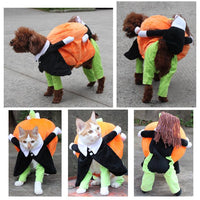 Spooky Pumpkin Pooch Costume