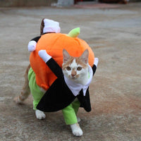 Spooky Pumpkin Pooch Costume