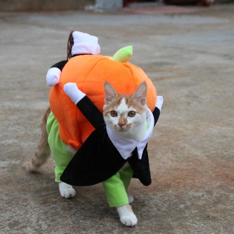 Spooky Pumpkin Pooch Costume