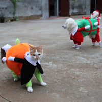 Spooky Pumpkin Pooch Costume