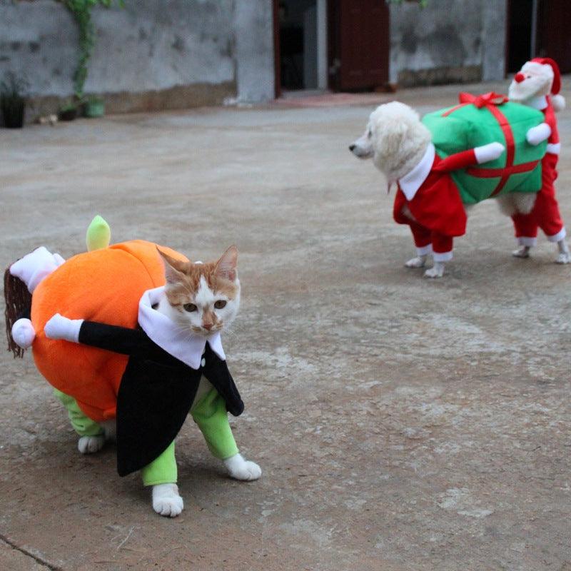 Spooky Pumpkin Pooch Costume