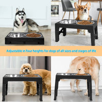 Top 10 Elevated Dog Bowl Stands with Stainless Steel Dishes