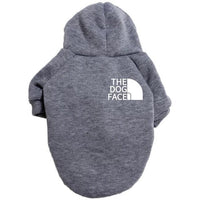 Pet Couture: Stylish Clothing For Large And Small Dogs