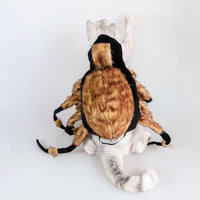 Spider Costume For Pets: Transform Your Furry Friend Into A Spooky Arachnid!