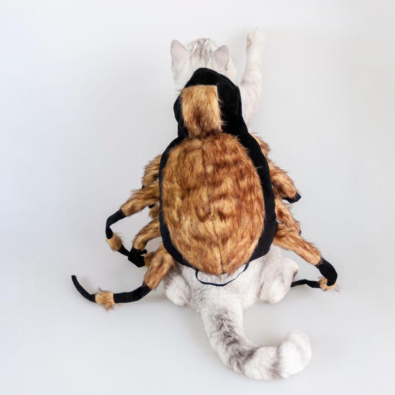 Spider Costume For Pets: Transform Your Furry Friend Into A Spooky Arachnid!