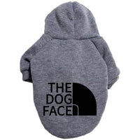 Pet Couture: Stylish Clothing For Large And Small Dogs