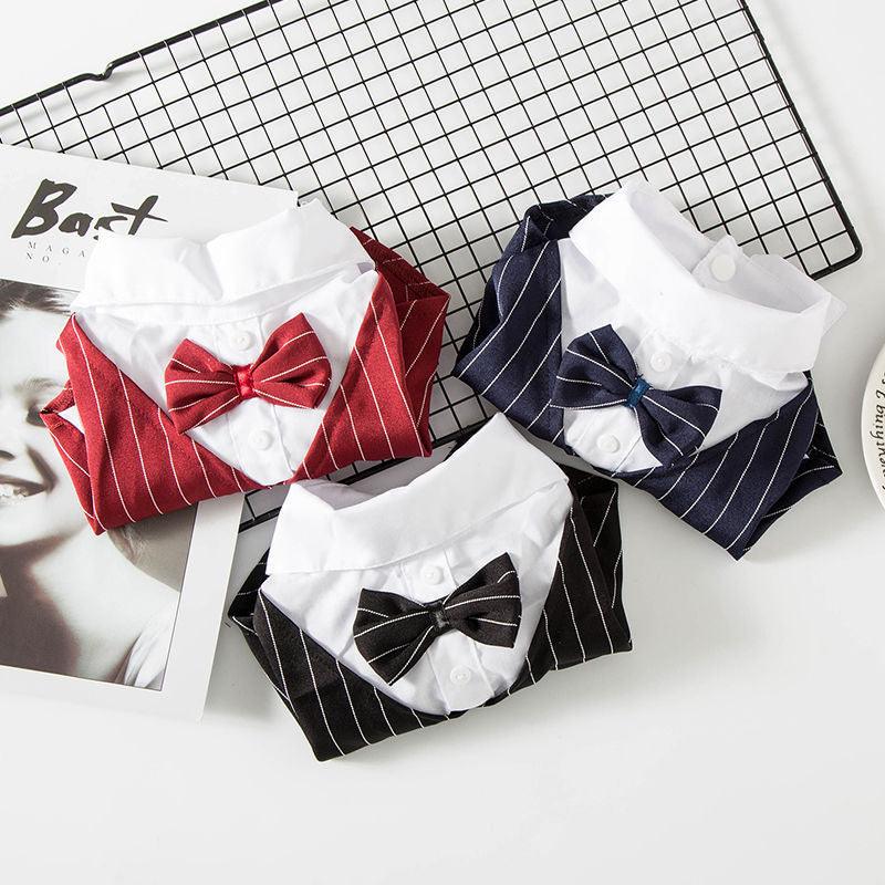 Petite Pup Couture: Stylish Suit For Small Dogs