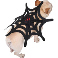 Spooky Felt Halloween Pet Costume