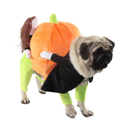 Spooky Pumpkin Pooch Costume