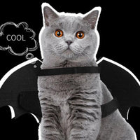Luminous Bat Wings Dog Costume - Transform Your Pup Into A Mysterious Creature!