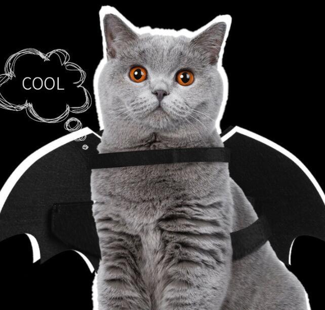 Luminous Bat Wings Dog Costume - Transform Your Pup Into A Mysterious Creature!