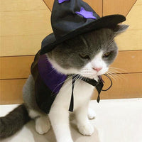 Enchanting Pet Halloween Wizard Costume Set