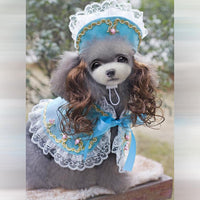 Festive Pet Couture: Hilarious Holiday Pet Attire For A Pawsome Christmas!