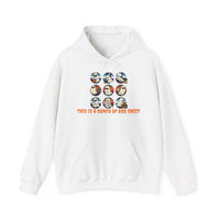 Funny Graphic Hoodie: This Is A Bunch Of Boo Sheet, Humor Sweatshirt, Unisex Pullover, Halloween Gift