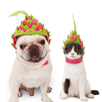 Tropical Dragon Fruit Pet Hat: A Fun And Stylish Costume For Dogs And Cats